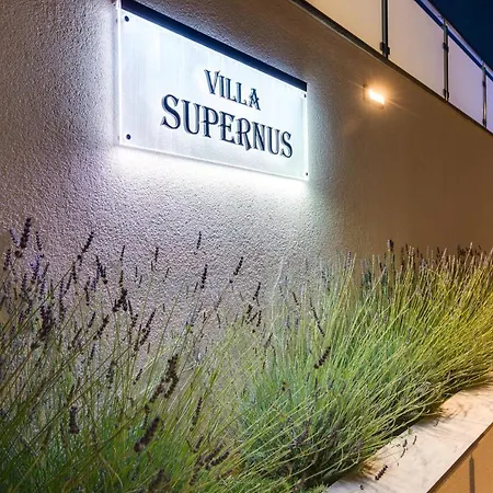 Supernus With Heated Pool Villa Baška